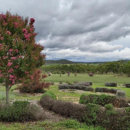 Accommodation Creek Cottages & Sundown View Suites Ballandean Eksteriør billede