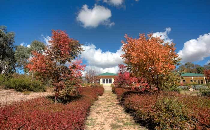 Accommodation Creek Cottages & Sundown View Suites Ballandean Eksteriør billede